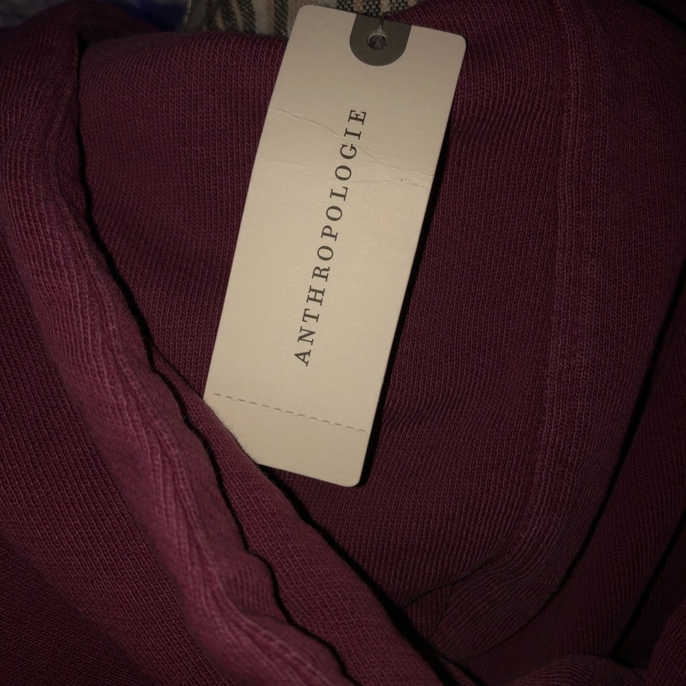 Anthropologie- Pilcro Flynn Hoodie- Fits Medium, runs larger. - Picture 6 of 8